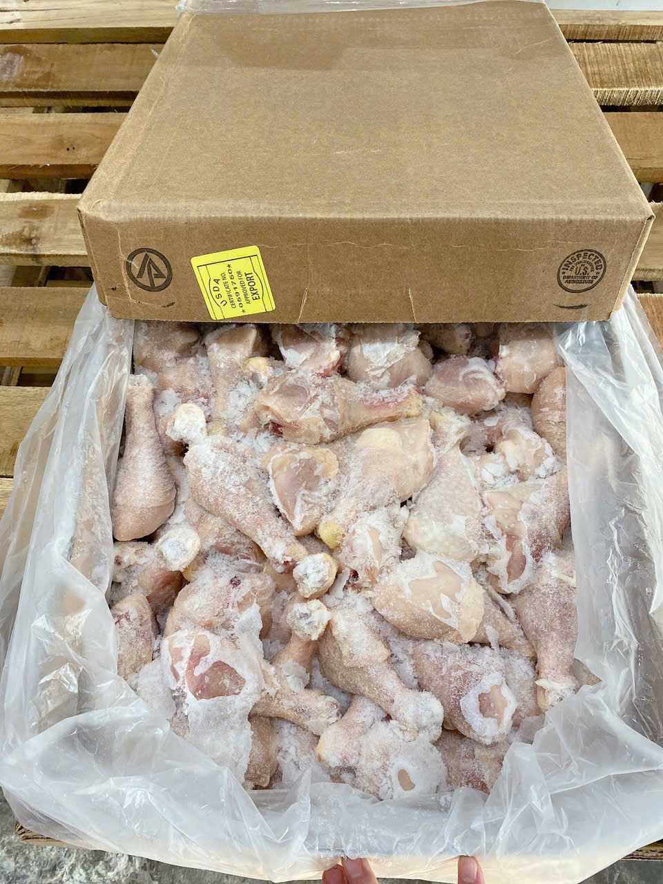 Mua tỏi gà sạch – Hàng tươi, rõ nguồn gốc